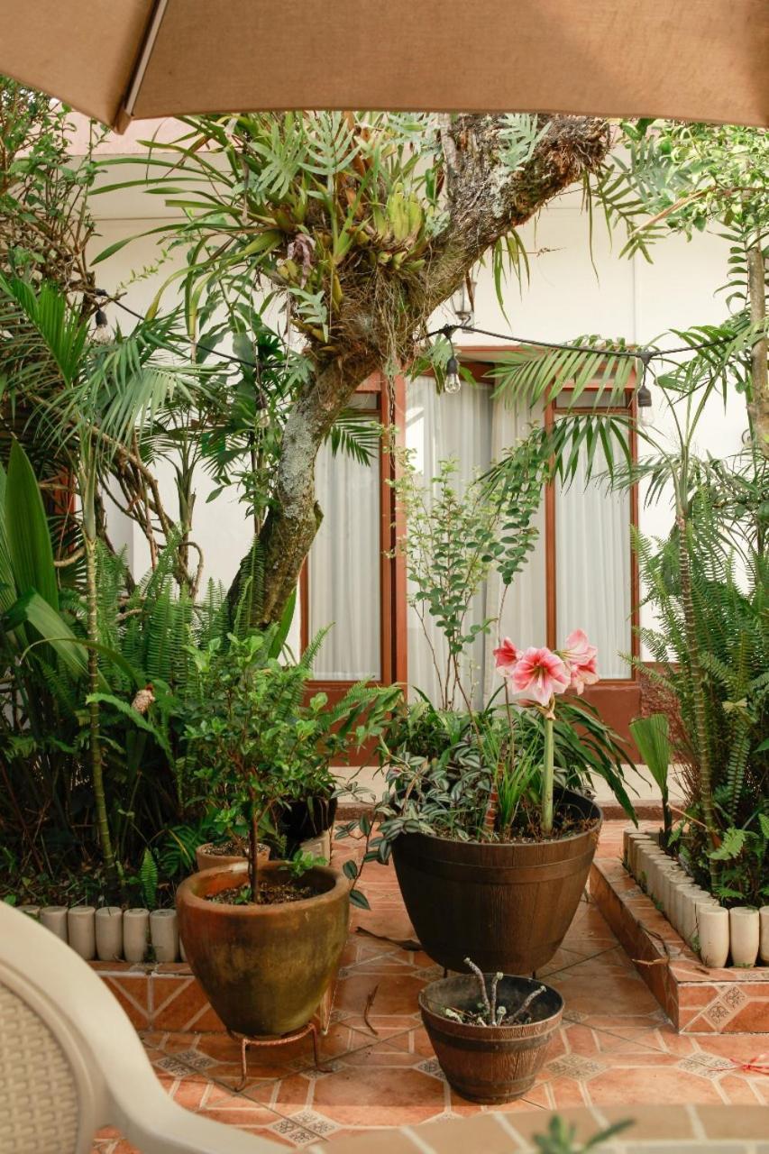 Posada Galeria Alberto Sedas Huatusco 외부 사진